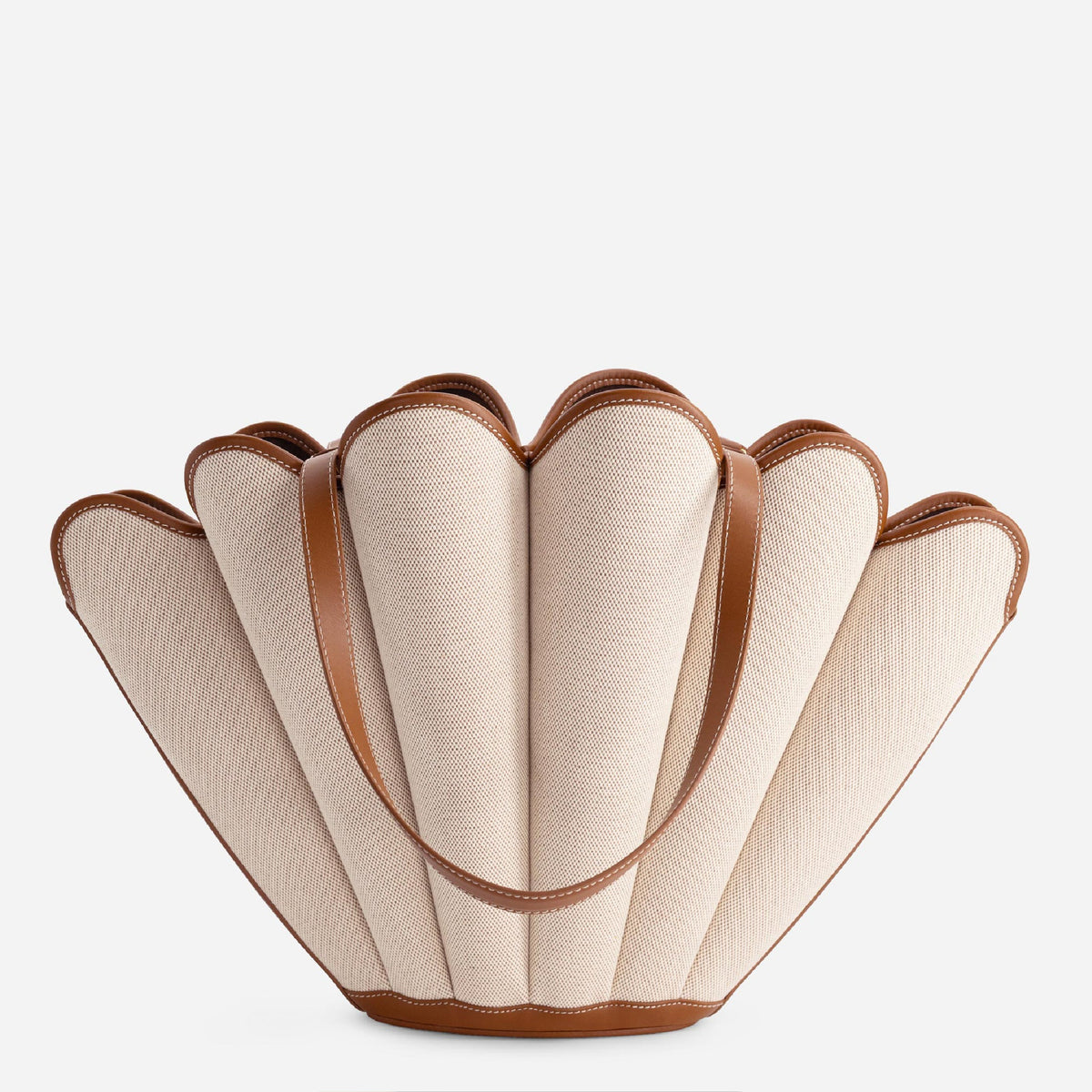 Sea Shell - Canvas