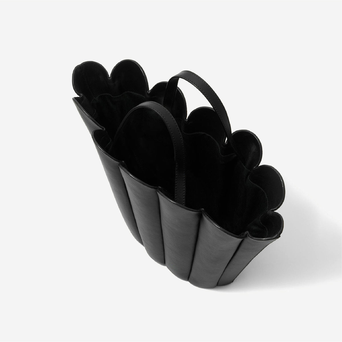 Sea Shell - Black